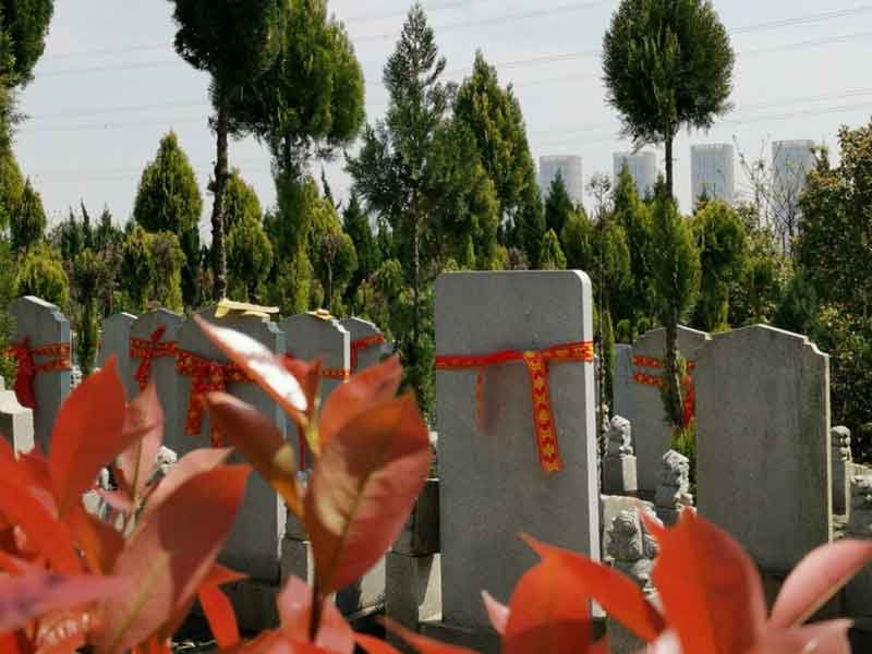 购买墓地具体流程是怎样的