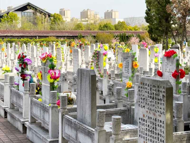 购买墓地需要办理哪些手续