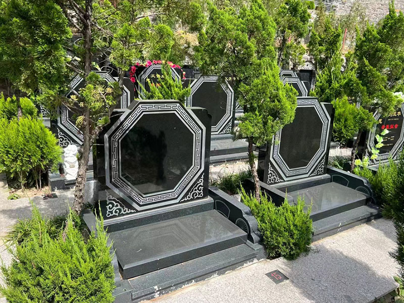 为什么选择福舜园 为什么选择福舜园