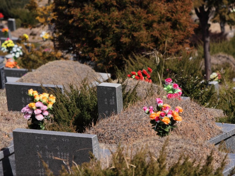 济南热门公墓分布格局 济南热门公墓分布格局