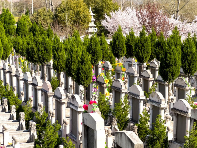 市民关注的三大核心点 市民关注的三大核心点