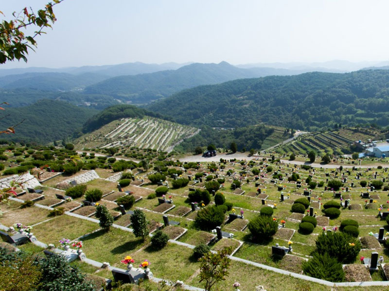 从“看风水”到“看服务” 从“看风水”到“看服务”