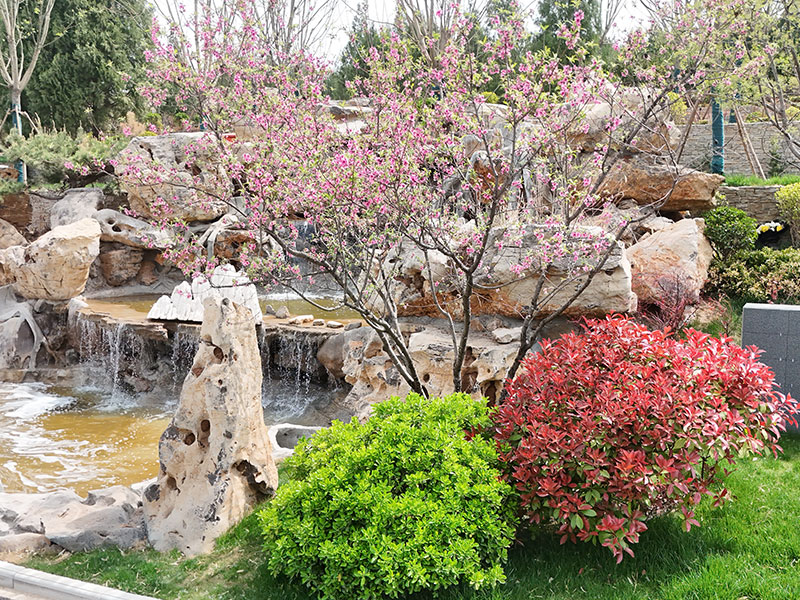 多子山公墓环境