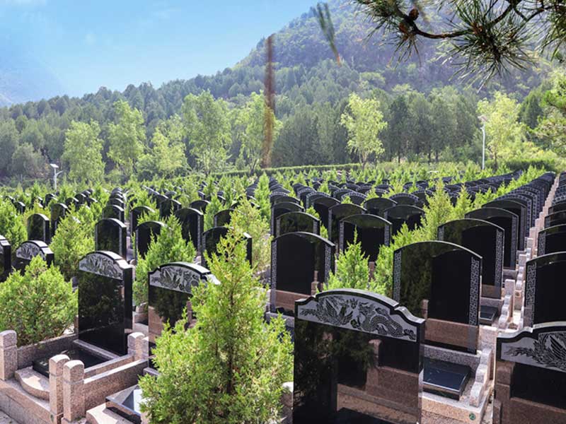 自然环境优美，园区宁静安详