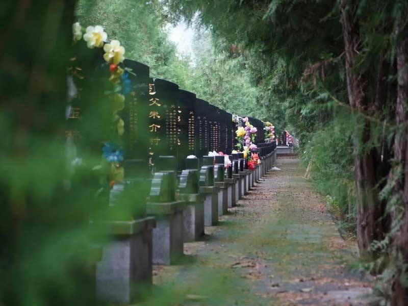 济南陵园2026年殡葬新规全面落地