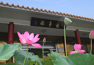 山东福寿园