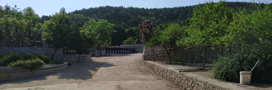 玉顶山公墓 玉顶山公墓