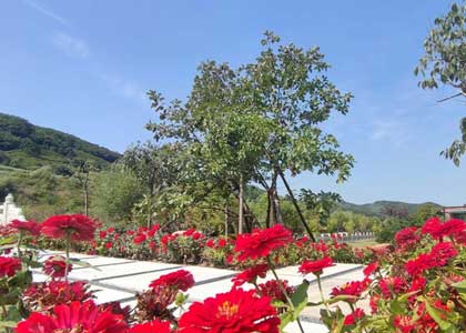 玉函山安息园（市中区）