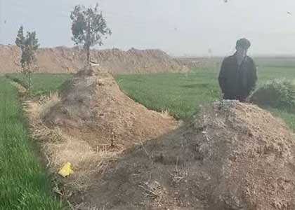 迁坟补偿 迁坟补偿