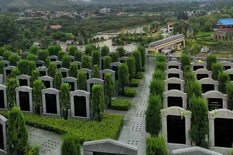 济南陵园的热门类型