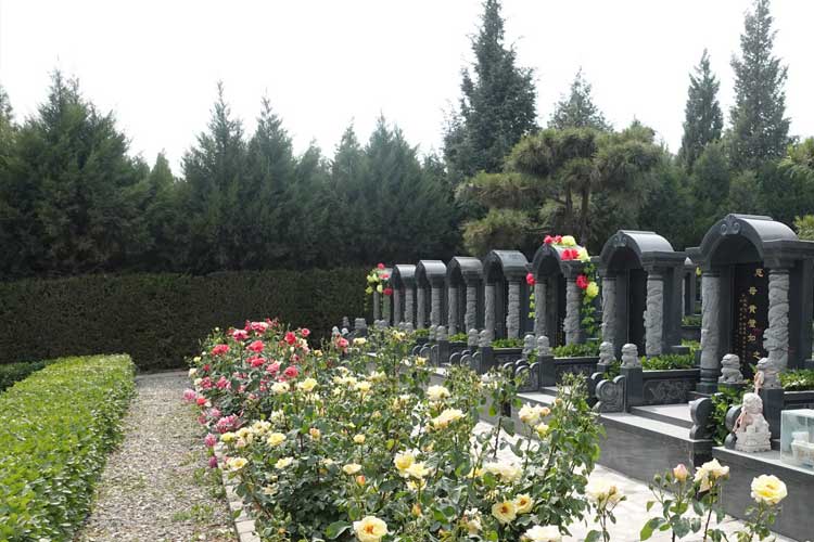 青龙山公墓 青龙山公墓