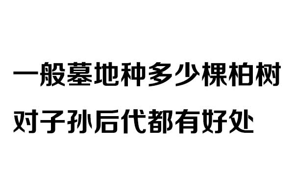 一般墓地种多少棵柏树对子孙后代都好处 一般墓地种多少棵柏树对子孙后代都好处