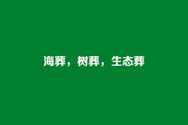 海葬树葬生态葬