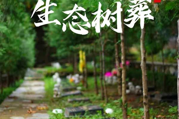 济南生态树葬