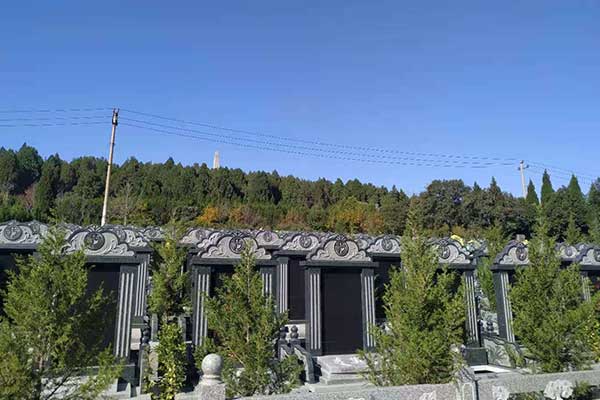 祖坟柏树栽种讲究