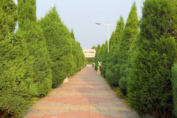官山陵园 官山陵园