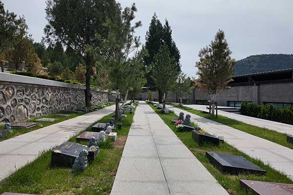 多子山人文纪念园高性价比墓型 多子山人文纪念园高性价比墓型